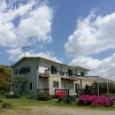 초리풍경 이미지