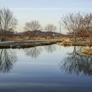 블루25(Blue 25) 이미지