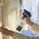 편백숲공방