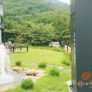 카페새로