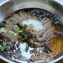 코스모스와 메밀가든 이미지