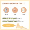 청평동물병원 이미지