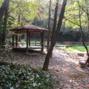 구룡천2 이미지