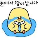 앤미장원 이미지