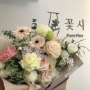 포엠플레르 이미지