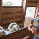 거시기농원 이미지