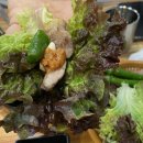 83돼지이야기 이미지