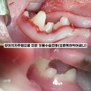 힐링힐스 동물 치과병원 이미지