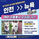 [해외이동]똘이/인천＞뉴욕/출국일 2~3주이전 신청 이미지