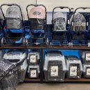 온힐펫 당하점 이미지