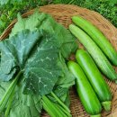 한장미아파트 이미지