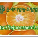 온새미영농조합법인 이미지