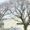 서광서리마을회관 이미지