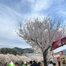 수안보파크호텔 | 수안보 벚꽃 온천제 + 수안보 파크호텔 숙박 후기 (노천탕, 1박2일 여행코스)