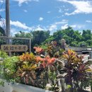 하마카페 이미지