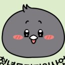 청년디비