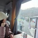 영동농협 하나로마트내곡점 | [대전근교글램핑] 별이 쏟아지는 불멍 맛집 '별애드림 캠핑장'