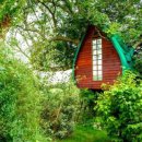 트리하우스 이미지