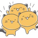 데본냥이 이미지
