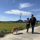 그린약품 이미지