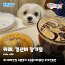 카페경선비