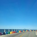 네르하쏠 이미지