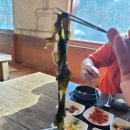 고망고루원시티점 | 양양] 원시불한증막 찜질방 꿀팁과 솔직후기:가격인상(내돈내산)