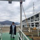 공영자전거 정림사지 대여소 | 여수 오동도 아이랑 다녀온 후기 (공영주차장, 동백기차, 자전거)