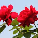 남부수자원생태공원 이미지