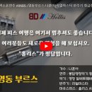 알버트악기 이미지