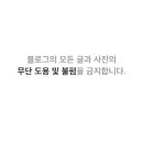 세븐일레븐 대전은행점 네이버블로그