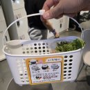 쥬쥬 | [안성 실내 동물원] 아이와 함께 쥬쥬핑 월드 다녀온 후기🩷