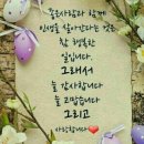 그대와 나 이미지