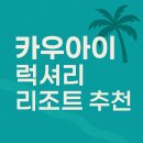 우림호텔 | ✨ 카우아이 호텔 추천 │ 그랜드 하얏트 카우아이 리조트 &amp; 스파 후기