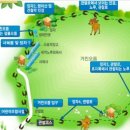 거로사거리(제주방면)
