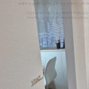 예쁘다,오늘에서 속눈썹 증모 받고 난 후기! 진짜 대박이에요