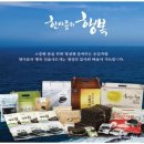 에스지시스템 이미지