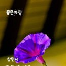 행복상사 이미지