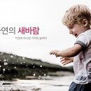 봉화산 족구장 이미지