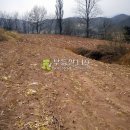 신구리농장 이미지