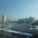 넥서스밸리 이미지