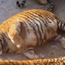 더블에이치짐 이미지