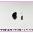 맑은성모이비인후과 내 건강기능식품판매업소 | 노인보청기 지원금 복잡한 절차, 한 번에 싹 정리해 드립니다!