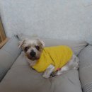 미정이집 이미지