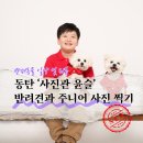 쁘띠애견미용실 | 내 돈 내산 반려견사진관, 동탄 사진관 윤슬
