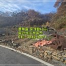 내강리 강촌 이미지