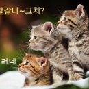 천호동 하우스(단편 실화)도박은 무섭습니다. 이미지