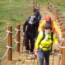 구좌공설묘지 이미지