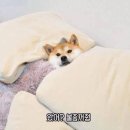 라프랑스