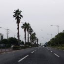 소나타구이 | 제주도 2박 3일 가족 여행 경비 총정리(고등학생 자녀 동반 3인 가족 리얼 후기)